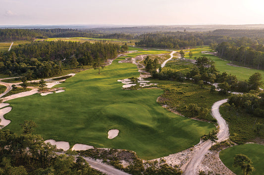 Cover Story - Wild Spring Dunes